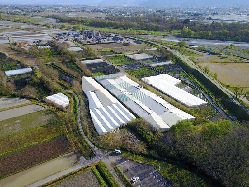 空から見るわさび農園